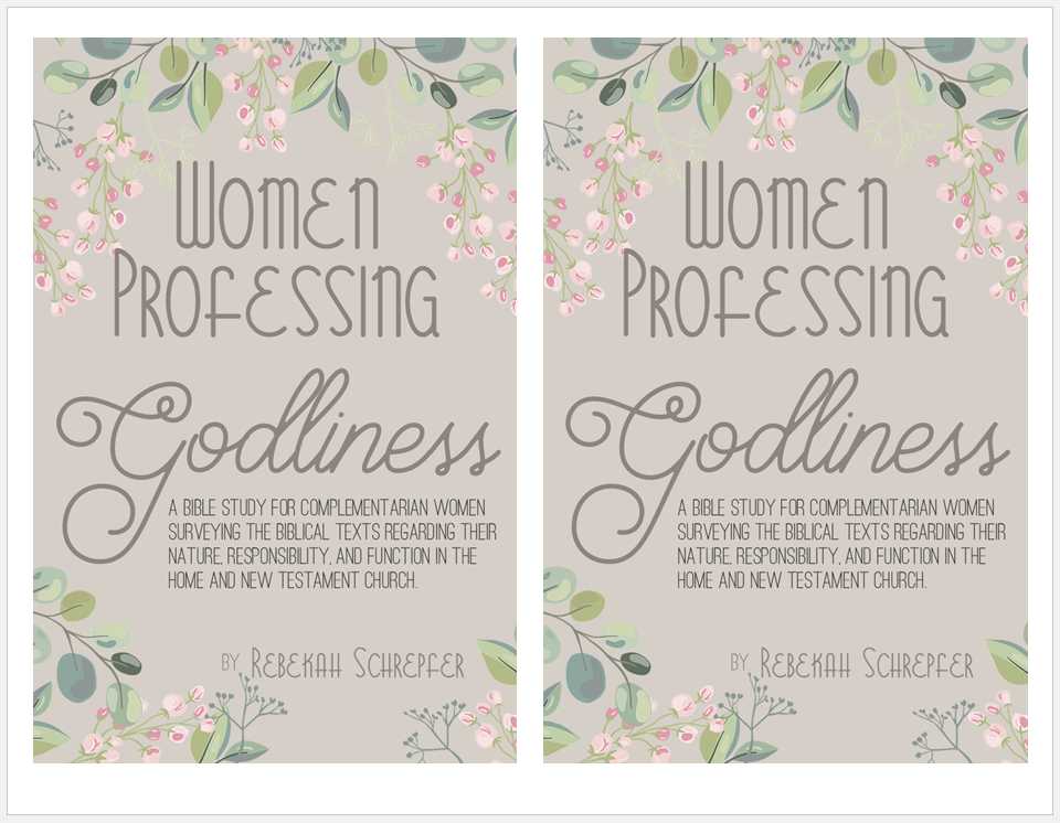 Complementarianism Bible Study – Binder Art